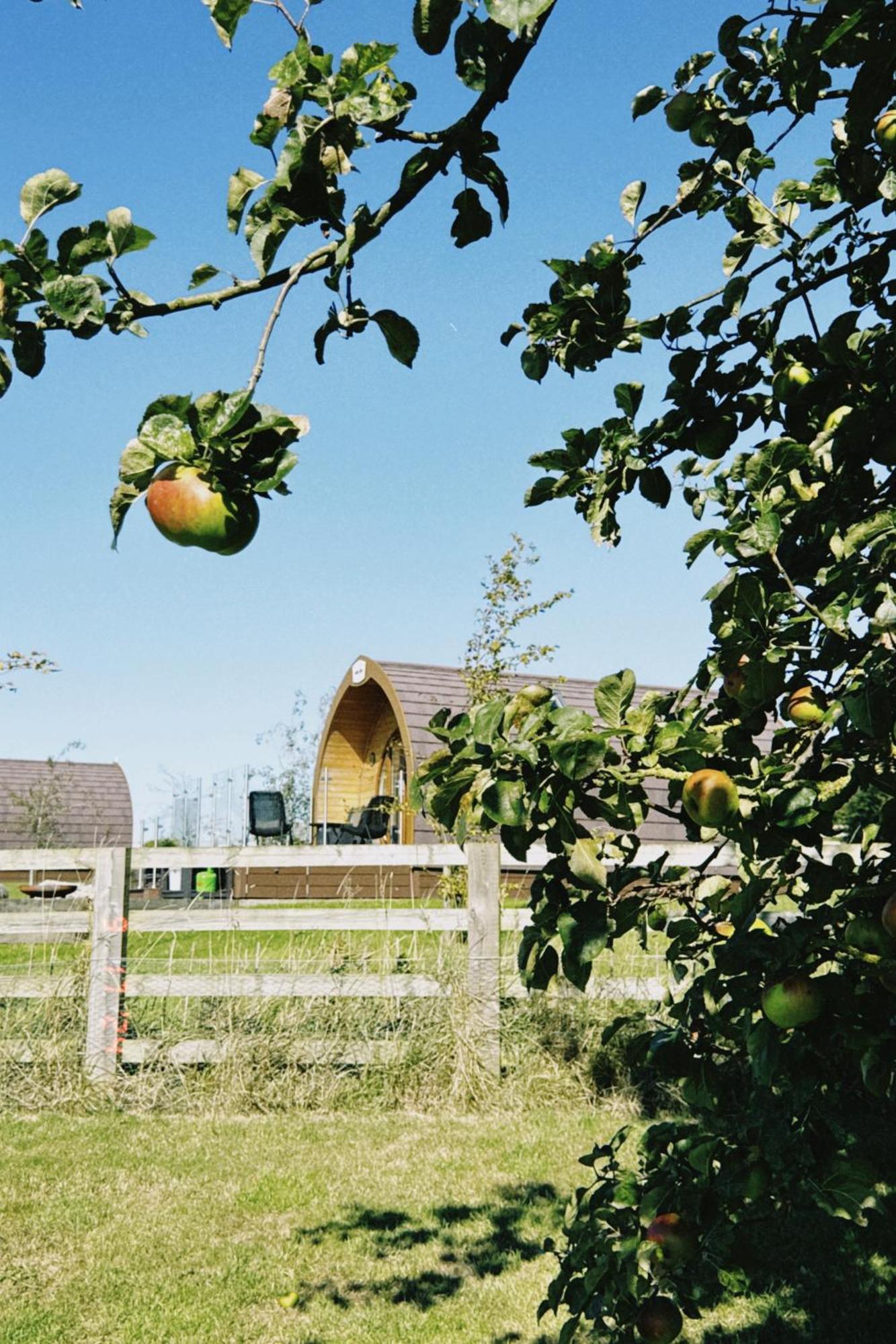 スタンフォード・ブリッジ Mingle Dale- Bugthorpe Grange Glampingヴィラ エクステリア 写真